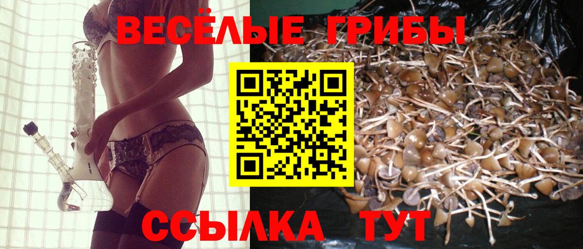 COCAIN  НБОМе  Канабис  Вход с VPN  Янаул  Мефедрон кристаллы  ГАШИШ  ТГК 