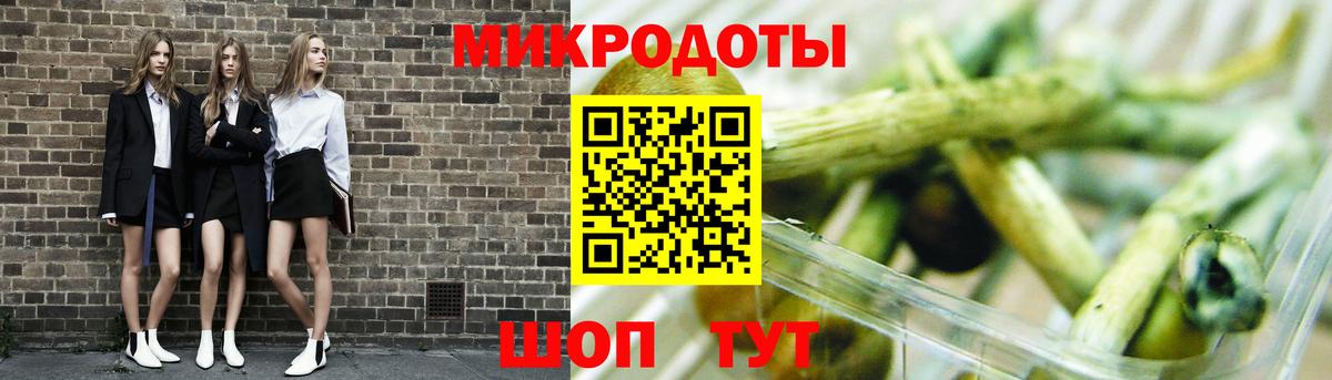 Псилоцибиновые грибы Psilocybe Янаул