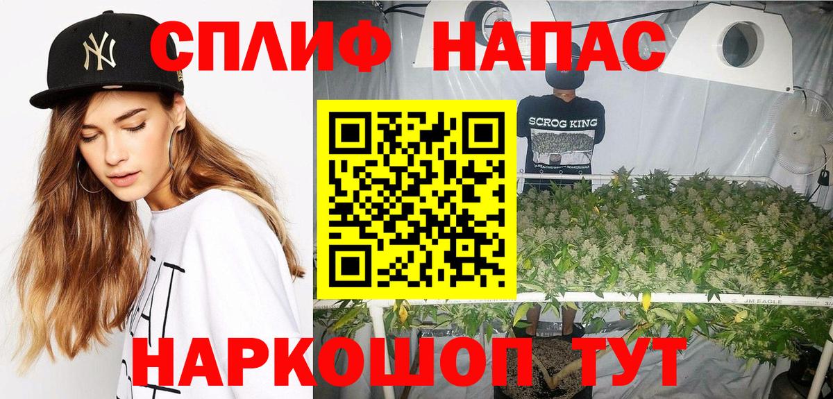 Канабис семена Янаул